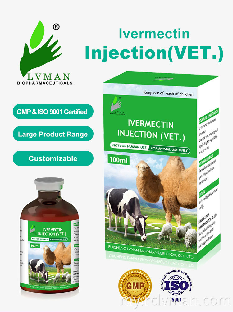 lvermectin ဆေးထိုး 01 Lvermectin Injection 01